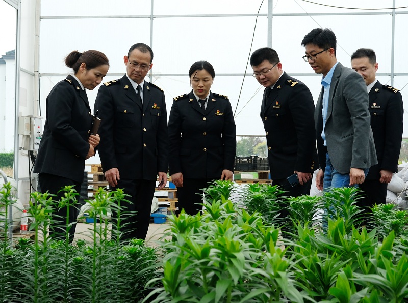 圖為：海關關員針對企業(yè)引進國外種苗隔離檢疫的難點問題赴現(xiàn)場調(diào)研幫扶1+20210420張建成攝